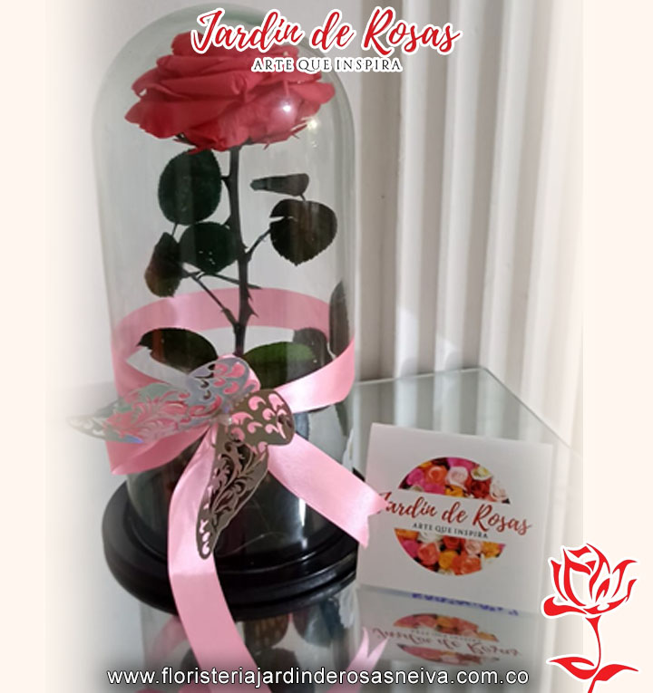 20032024_0026_rosa copia 57