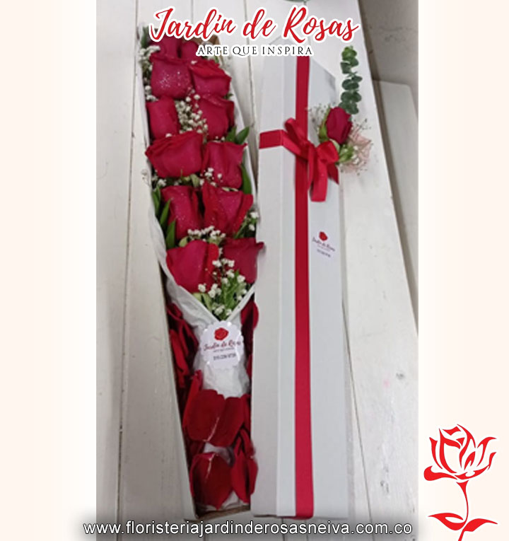 20032024_0063_rosa copia 91