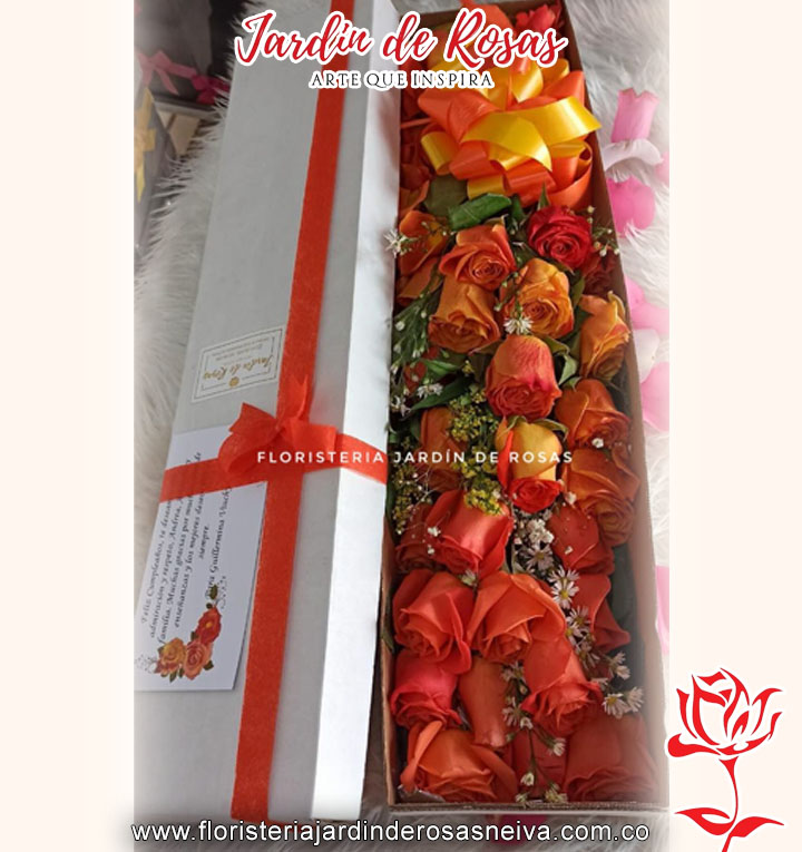 20032024_0128_rosa copia 164