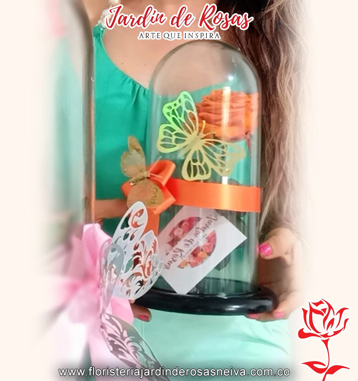 20032024_0158_rosa copia 192