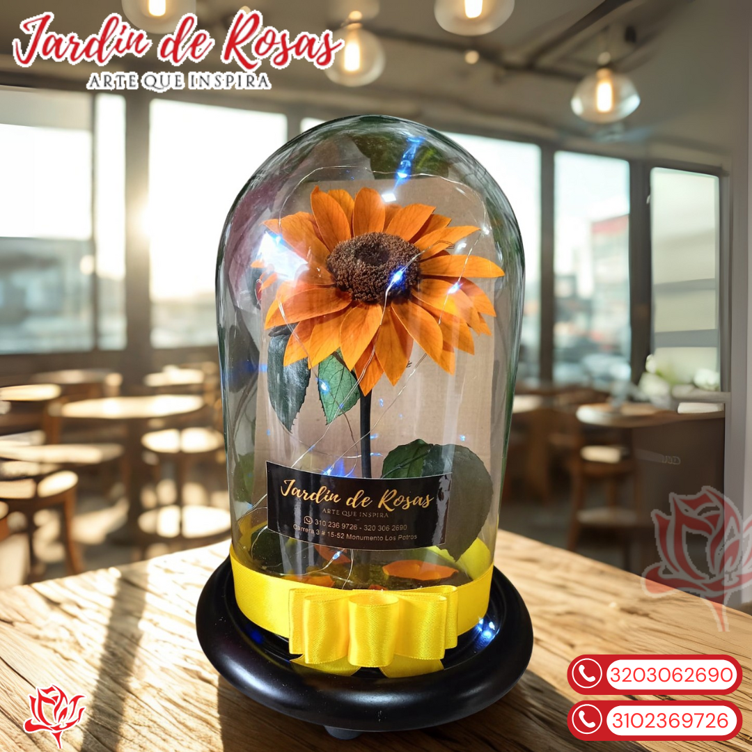 Jardín_20250905_081646_0000